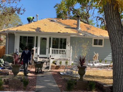 Asphalt Shingle Roof Replacement