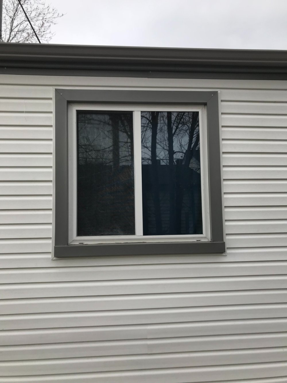 Double Casement Windows