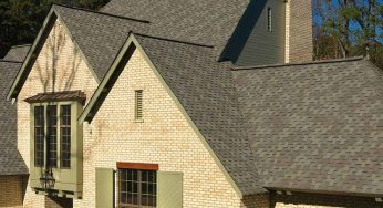How GAF Shingles’ Algae-Fighting Technology Works